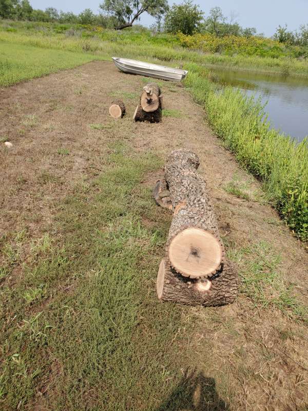 Attached picture First 2 logs.jpg